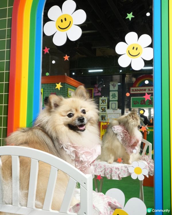 Wiggle Wiggle Pop-Up Store