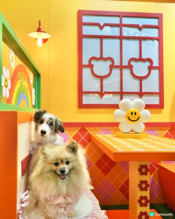 Wiggle Wiggle Pop-Up Store