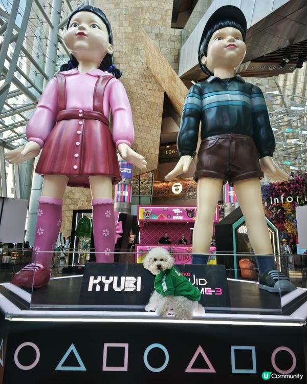 寵物打卡好去處