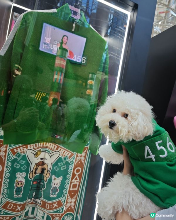 寵物打卡好去處