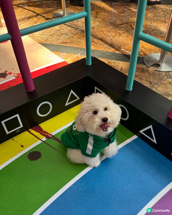 寵物打卡好去處