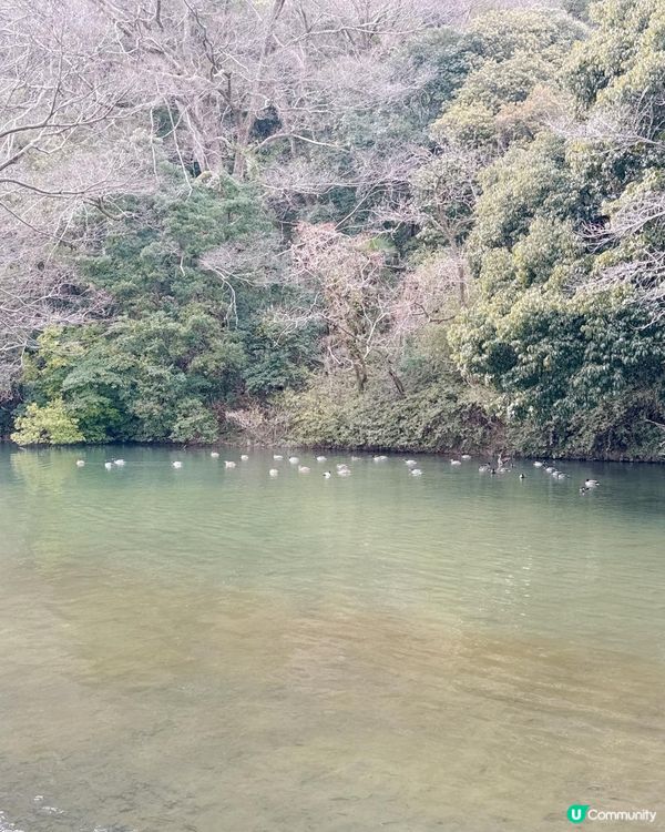 高松必去 - 栗林公園 感受江戶時代風情🌳