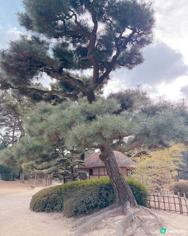 高松必去 - 栗林公園 感受江戶時代風情🌳