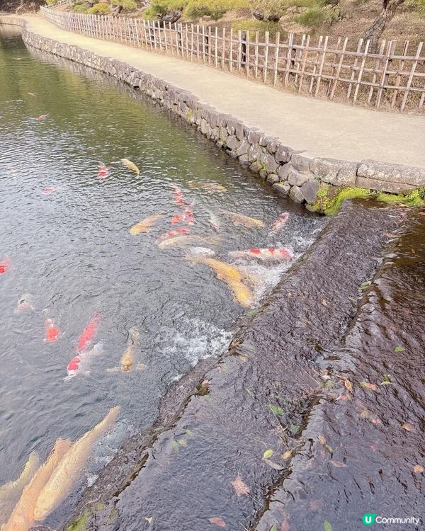 高松必去 - 栗林公園 感受江戶時代風情🌳