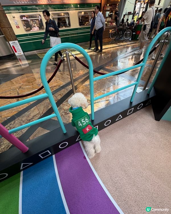 寵物打卡好去處