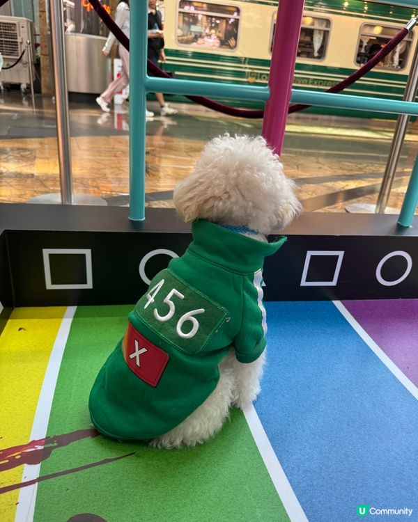 寵物打卡好去處