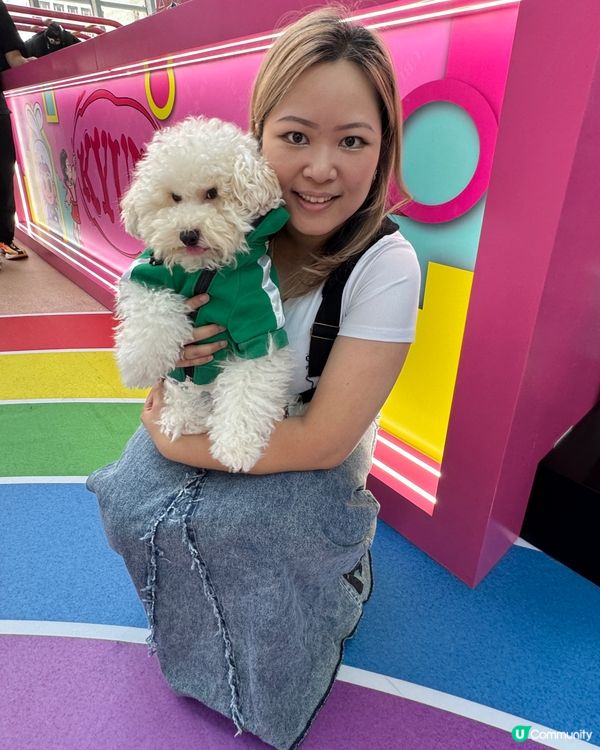 寵物打卡好去處