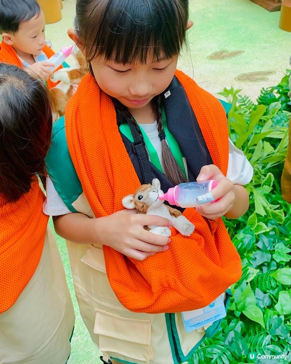 奧海城 X STAYFUN｢見習動物護理員｣