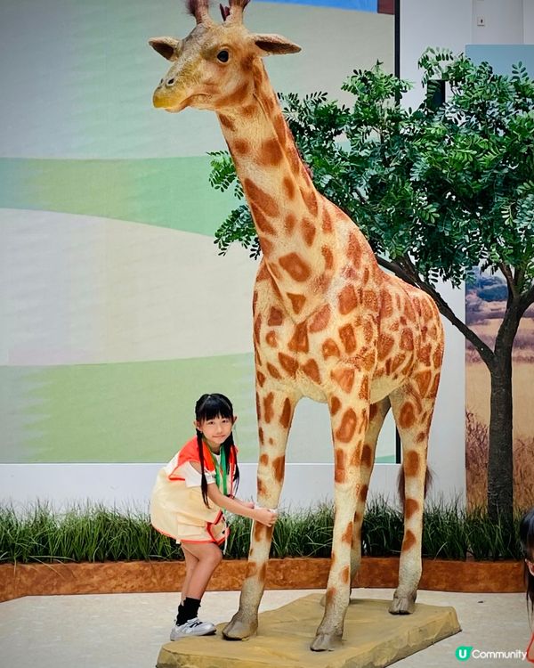 奧海城 X STAYFUN｢見習動物護理員｣