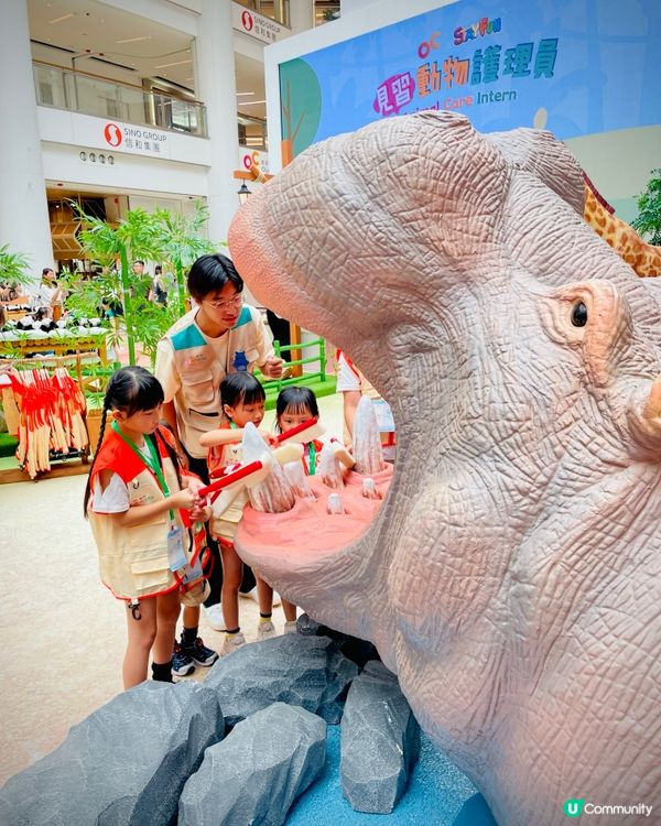 奧海城 X STAYFUN｢見習動物護理員｣