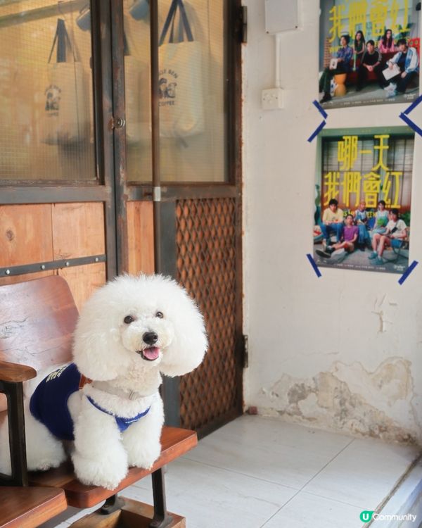 一個好受歡迎嘅Uncle