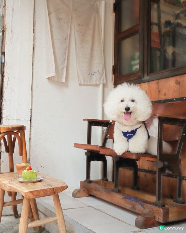 一個好受歡迎嘅Uncle