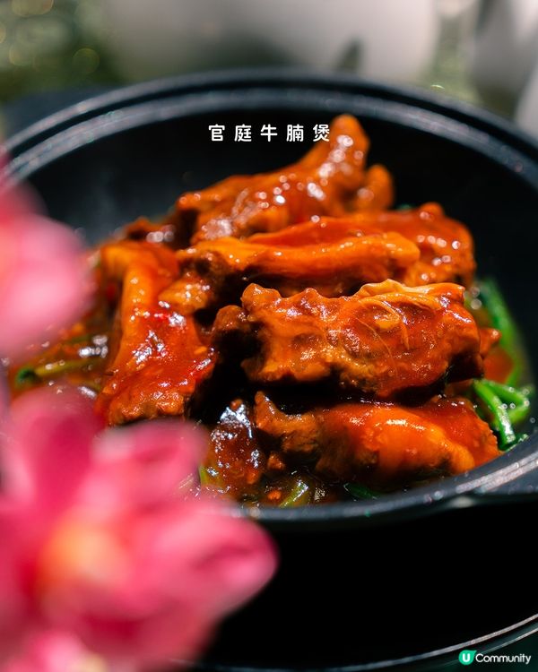 北京老家🤤！灣仔手工北京菜😋！