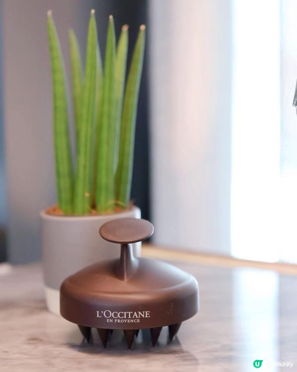 甩頭髮甩到癲？救星嚟啦！🌿✨ 養髮秘笈！