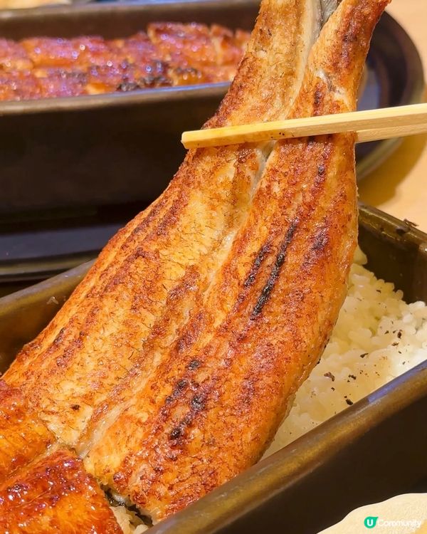 四代目菊川鰻魚飯🤤！香港都有得食！🔥