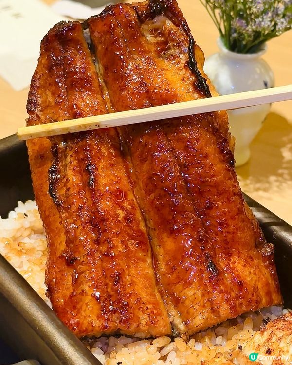 四代目菊川鰻魚飯🤤！香港都有得食！🔥