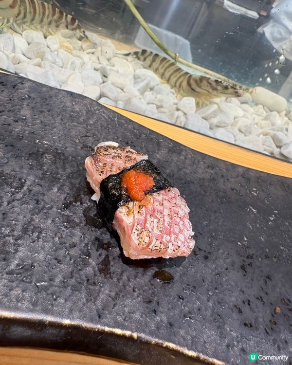 大阪Omakase🍣15貫午市套餐😋性價比極高👍🏻