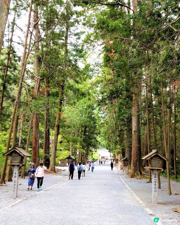橫丁抹茶刨冰🍧！掛川必去！
