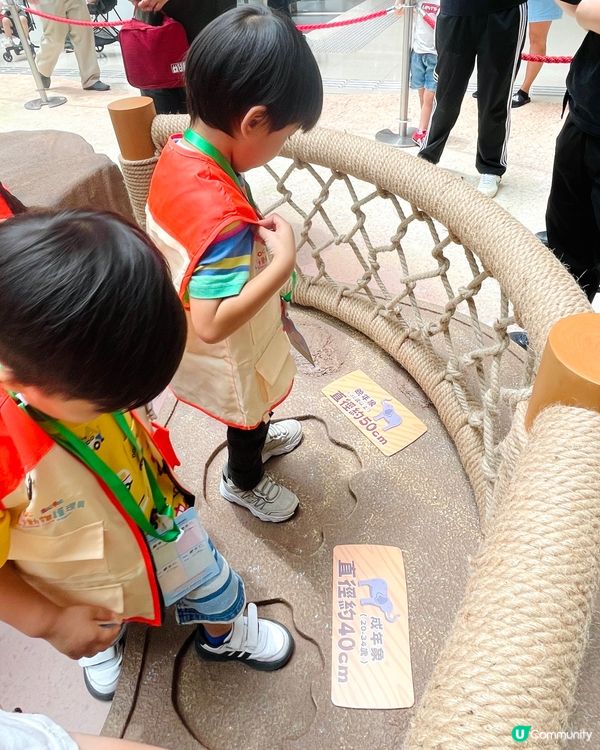 齊齊來打工！做個小小見習動物護理員🐘