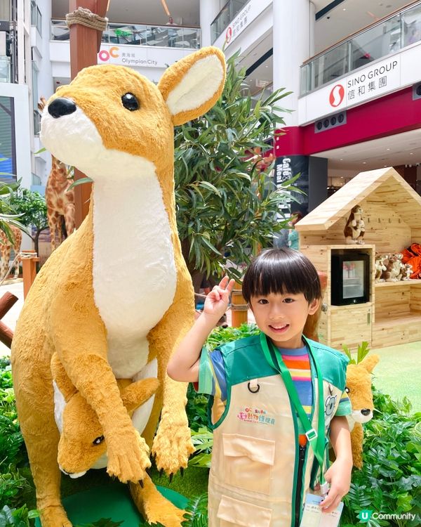 齊齊來打工！做個小小見習動物護理員🐘