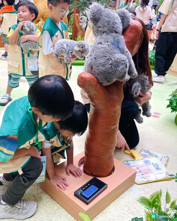 齊齊來打工！做個小小見習動物護理員🐘