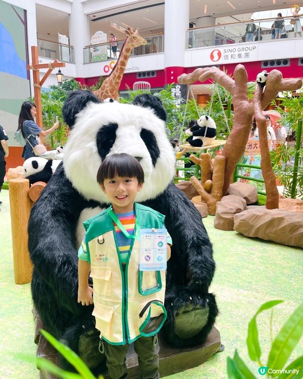 齊齊來打工！做個小小見習動物護理員🐘