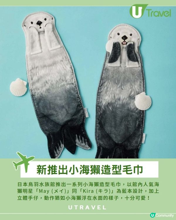 日本鳥羽水族館限定｢小海獺毛巾｣可愛到犯規!