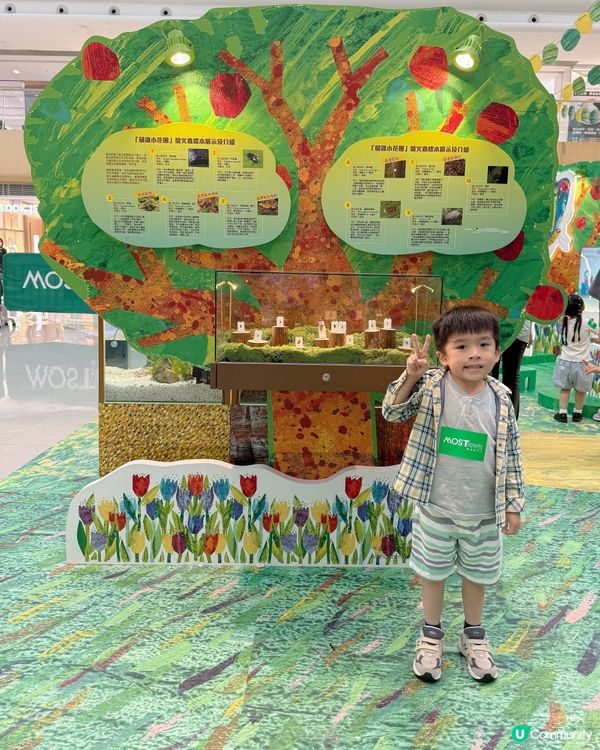 🐛 #毛毛蟲粉絲必到 | The World of Eric...