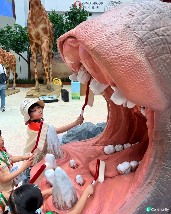 奧海城 X STAYFUN｢見習動物護理員｣👩🏻‍🌾