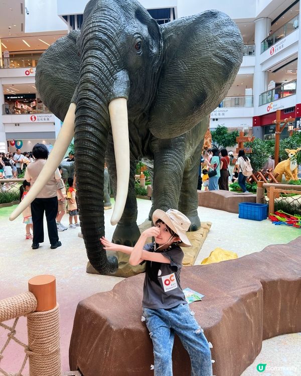 奧海城 X STAYFUN｢見習動物護理員｣👩🏻‍🌾