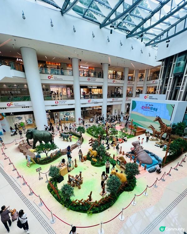 奧海城 X STAYFUN｢見習動物護理員｣👩🏻‍🌾