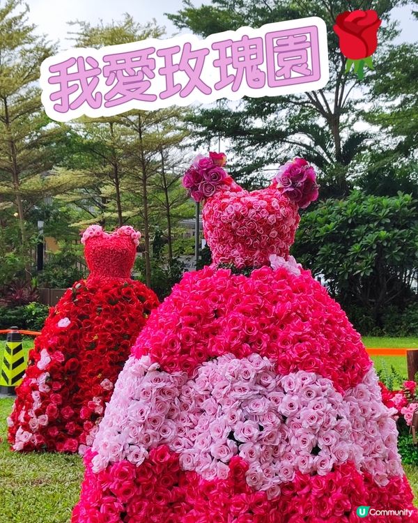 🌹我愛花花🌹之北角匯玫瑰園市集💥率先睇