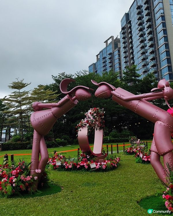 🌹我愛花花🌹之北角匯玫瑰園市集💥率先睇