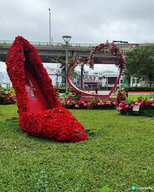 🌹我愛花花🌹之北角匯玫瑰園市集💥率先睇