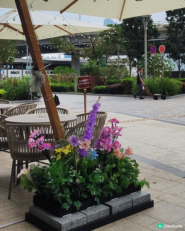 🌹我愛花花🌹之北角匯玫瑰園市集💥率先睇