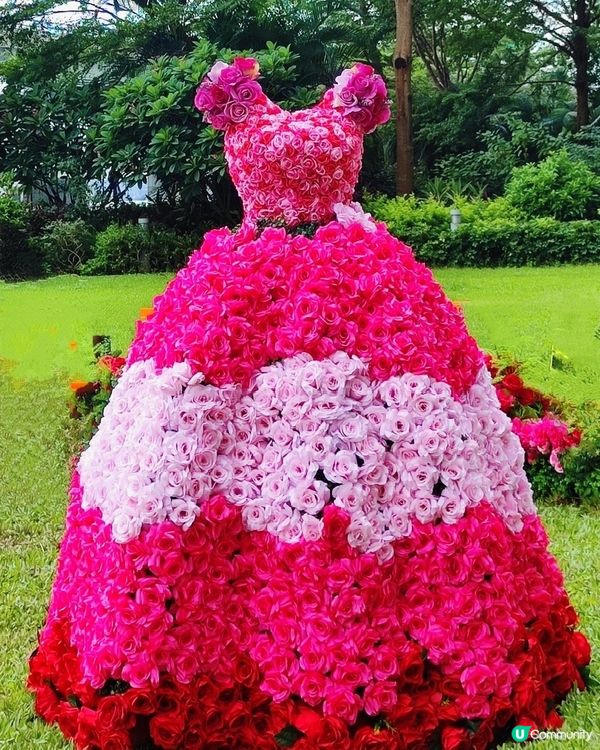 🌹我愛花花🌹之北角匯玫瑰園市集💥率先睇