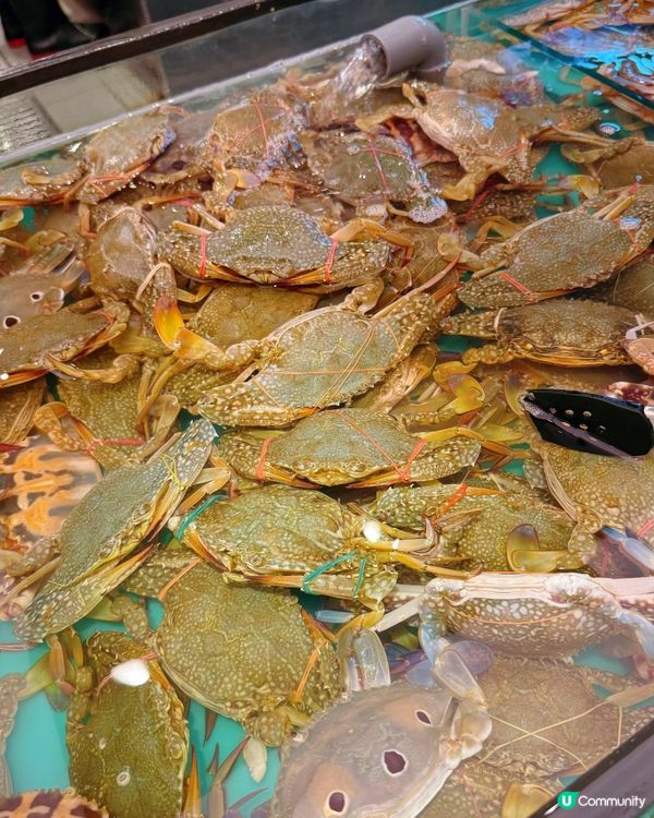 千海水產海鮮放題🤤！任撈任食超抵！🦀🦐