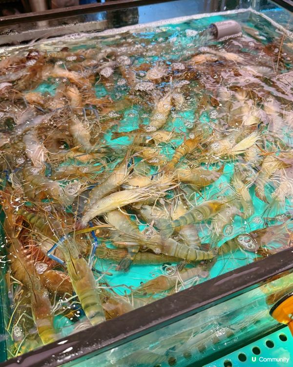 千海水產海鮮放題🤤！任撈任食超抵！🦀🦐