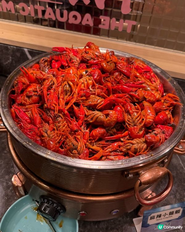 千海水產海鮮放題🤤！任撈任食超抵！🦀🦐