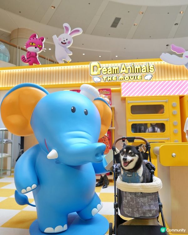 動物餅大電影期間限定店開箱！童年回憶返晒嚟🤩！快啲去