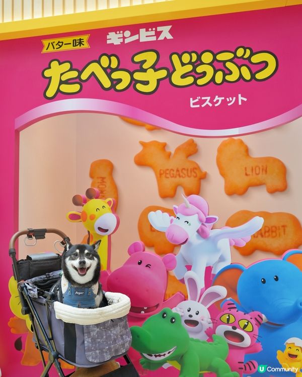 動物餅大電影期間限定店開箱！童年回憶返晒嚟🤩！快啲去