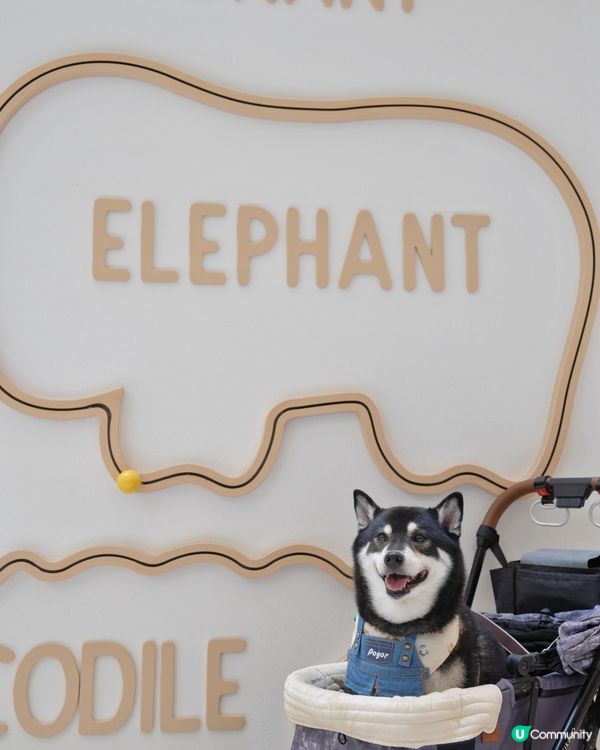 動物餅大電影期間限定店開箱！童年回憶返晒嚟🤩！快啲去