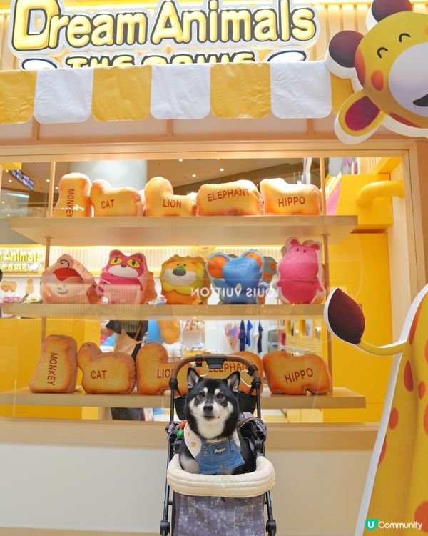 動物餅大電影期間限定店開箱！童年回憶返晒嚟🤩！快啲去