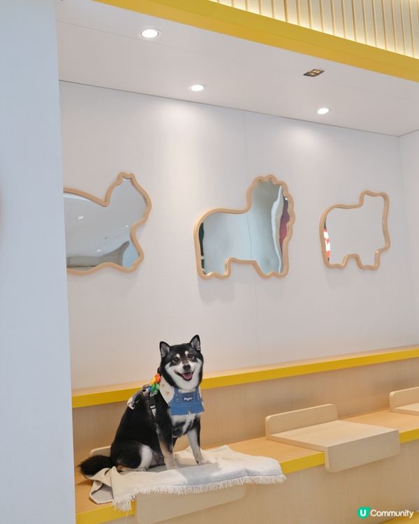 動物餅大電影期間限定店開箱！童年回憶返晒嚟🤩！快啲去