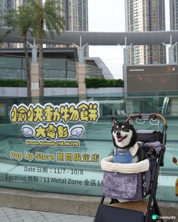 動物餅大電影期間限定店開箱！童年回憶返晒嚟🤩！快啲去