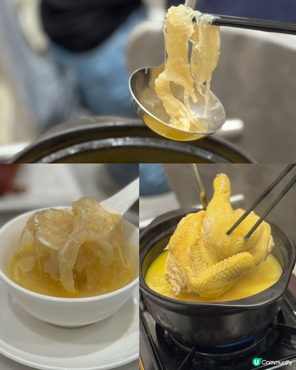 尖咀新派粵菜🤤！叉燒燒肉必食！