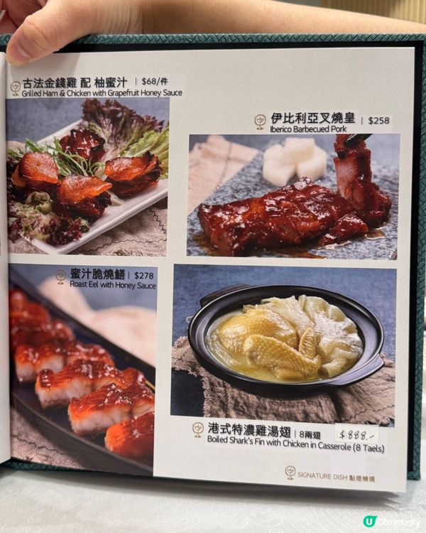 尖咀新派粵菜🤤！叉燒燒肉必食！