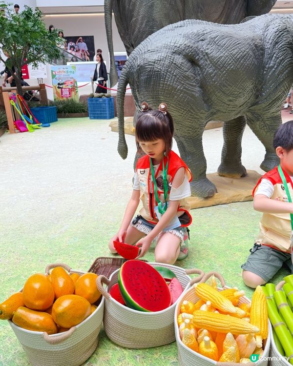 小小動物護理員開工啦！🦒🐼 暑假必去！