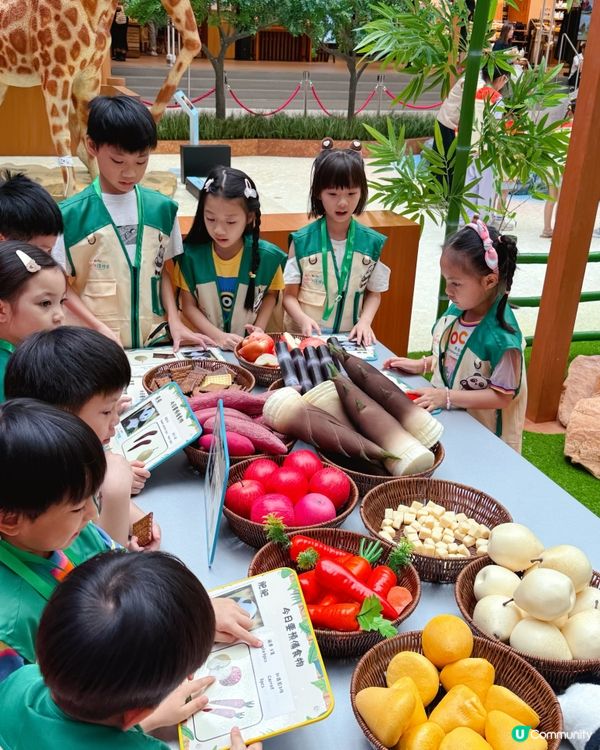 小小動物護理員開工啦！🦒🐼 暑假必去！