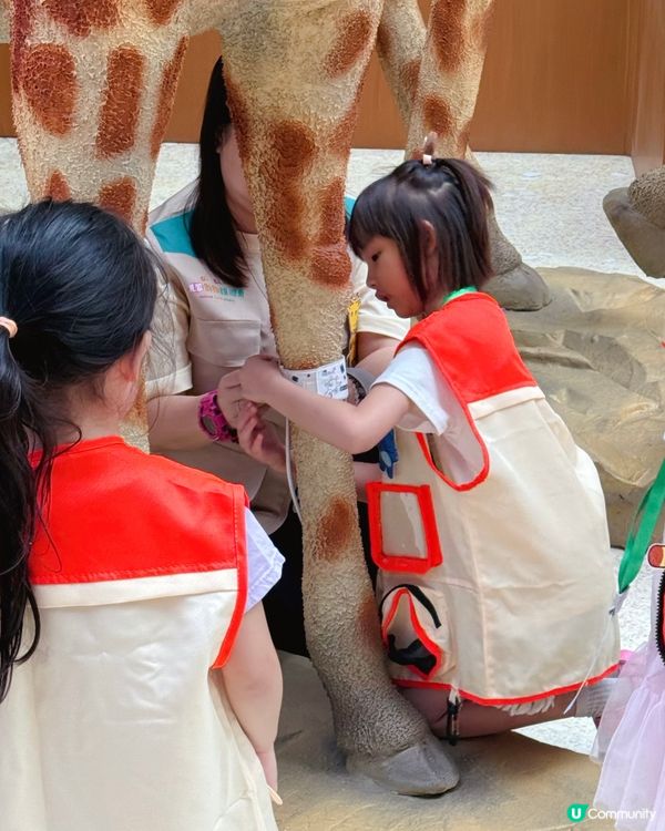 小小動物護理員開工啦！🦒🐼 暑假必去！